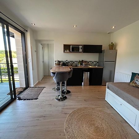 Appartement Neuf T2 Avec Jardin Et Terrasses Arcachon Extérieur photo